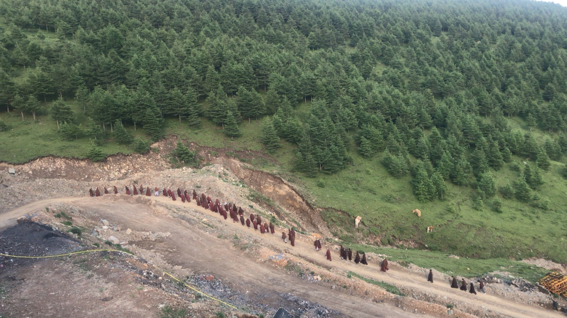 普寿寺女子佛学院毕业后(五台山普寿寺女子学院毕业干什么)