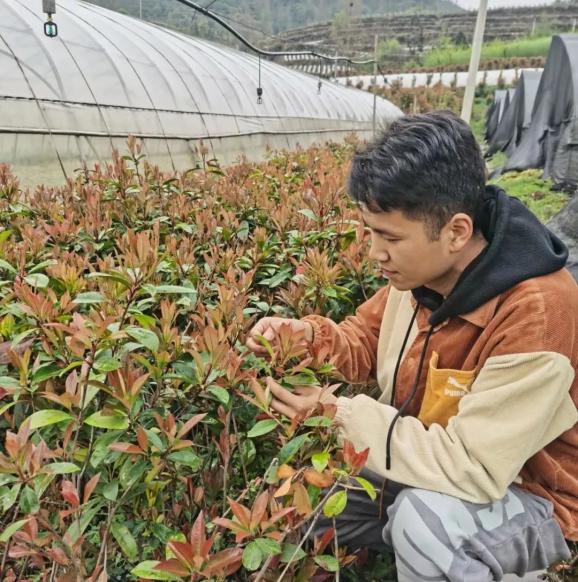 小陈大学毕业后就职去向(小明大学毕业后找到一份工作)