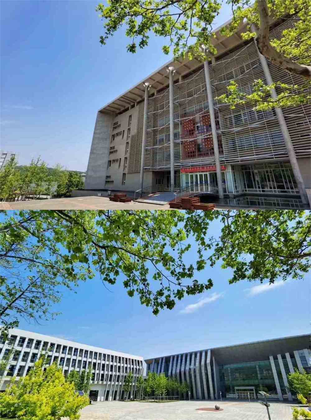 大连大学体育学院毕业后(大连大学体育教育专业就业情况) 大连大学体育学院毕业后(大连大学体育教育专业就业情况)