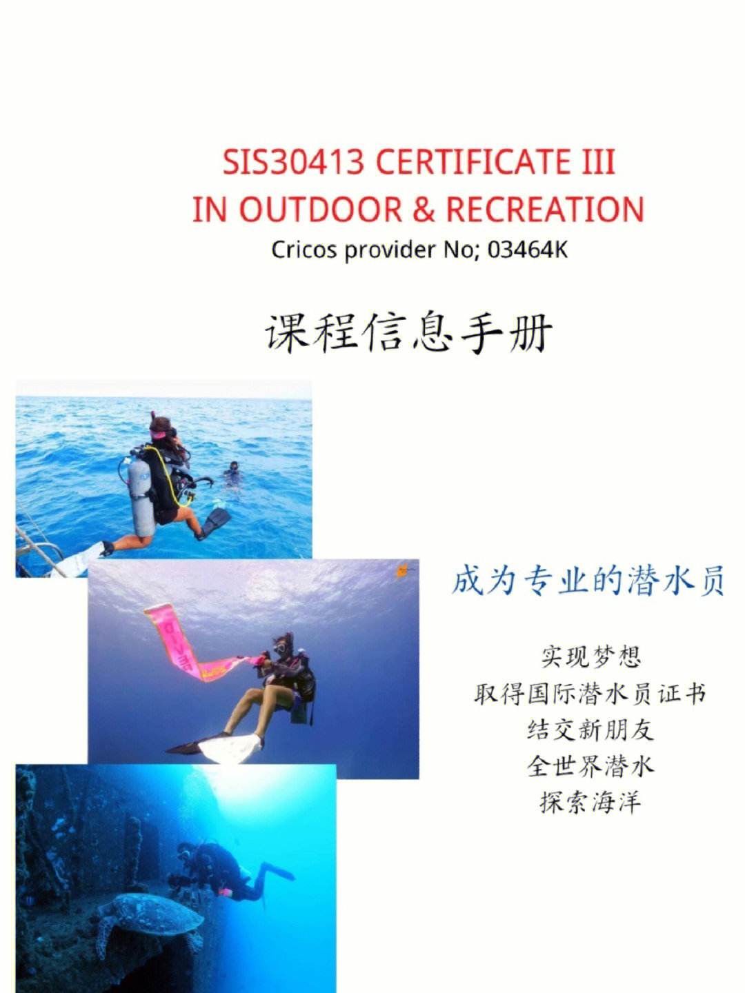 潜水系毕业后能拿到什么(潜水系毕业后能拿到什么学位)