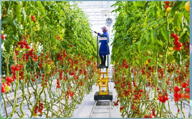 农学毕业后可以干什么(农学毕业能从事什么职业) 农学毕业后可以干什么(农学毕业能从事什么职业)