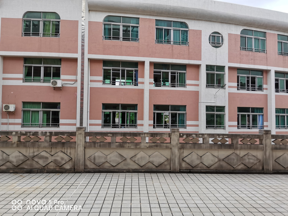 新宁学院毕业后(台山新宁学院是大专吗)