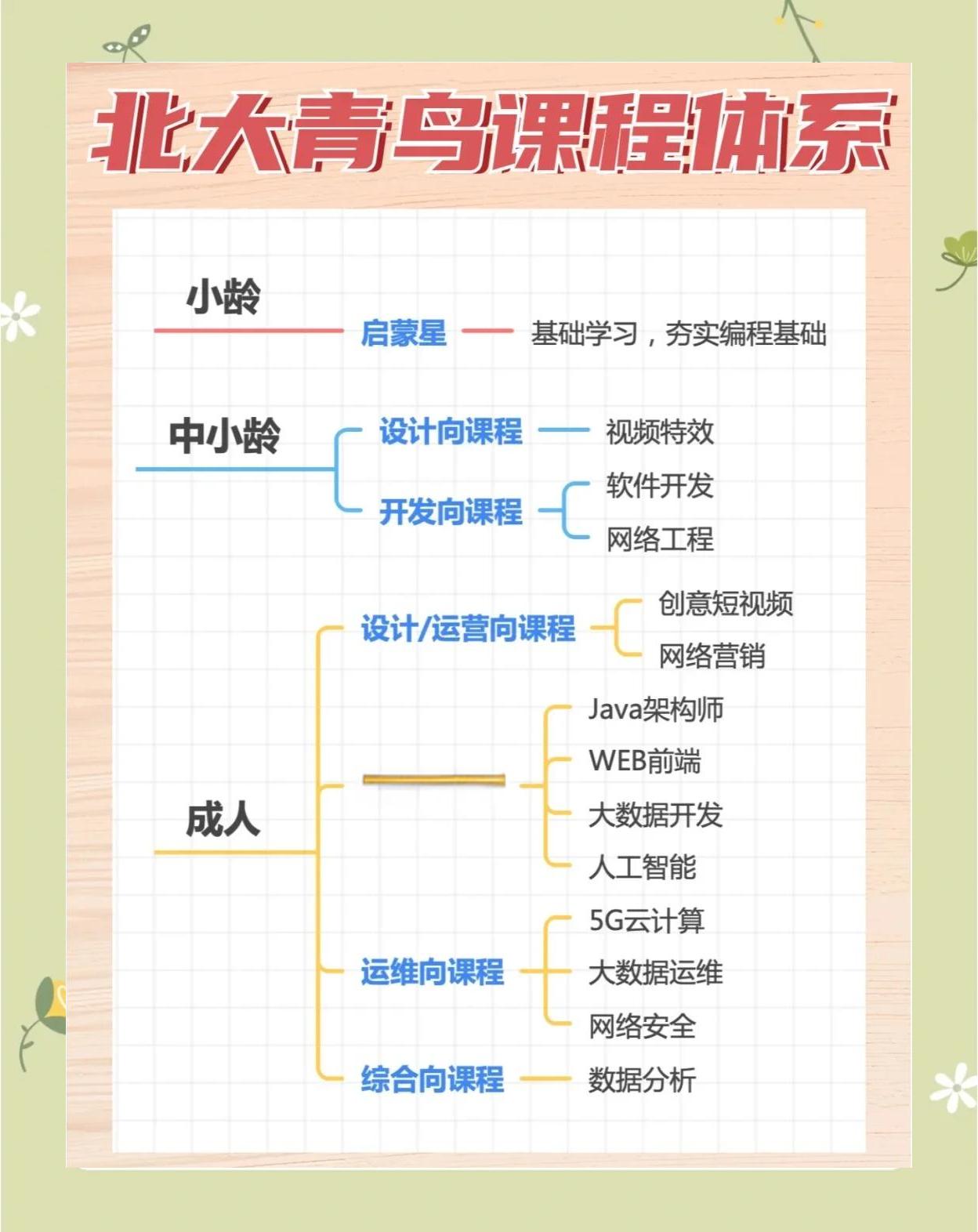 软件编程毕业后干什么(软件编程毕业后干什么好)