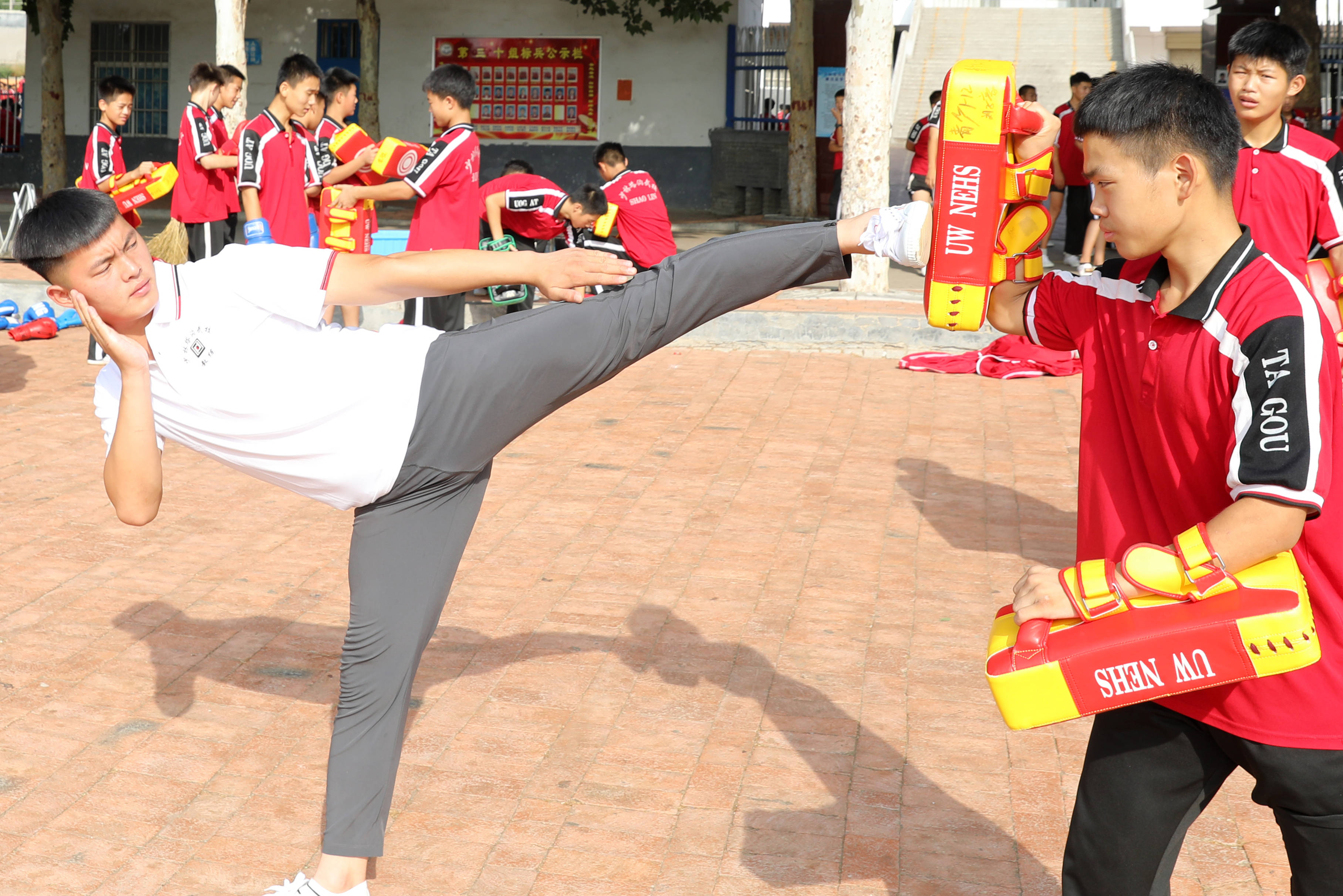 沟塔武术学院毕业后干什么(塔沟武校武术毕业证算什么学历)