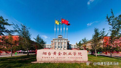 烟台黄金职业学院毕业后(烟台黄金职业学院毕业后能干什么) 烟台黄金职业学院毕业后(烟台黄金职业学院毕业后能干什么)