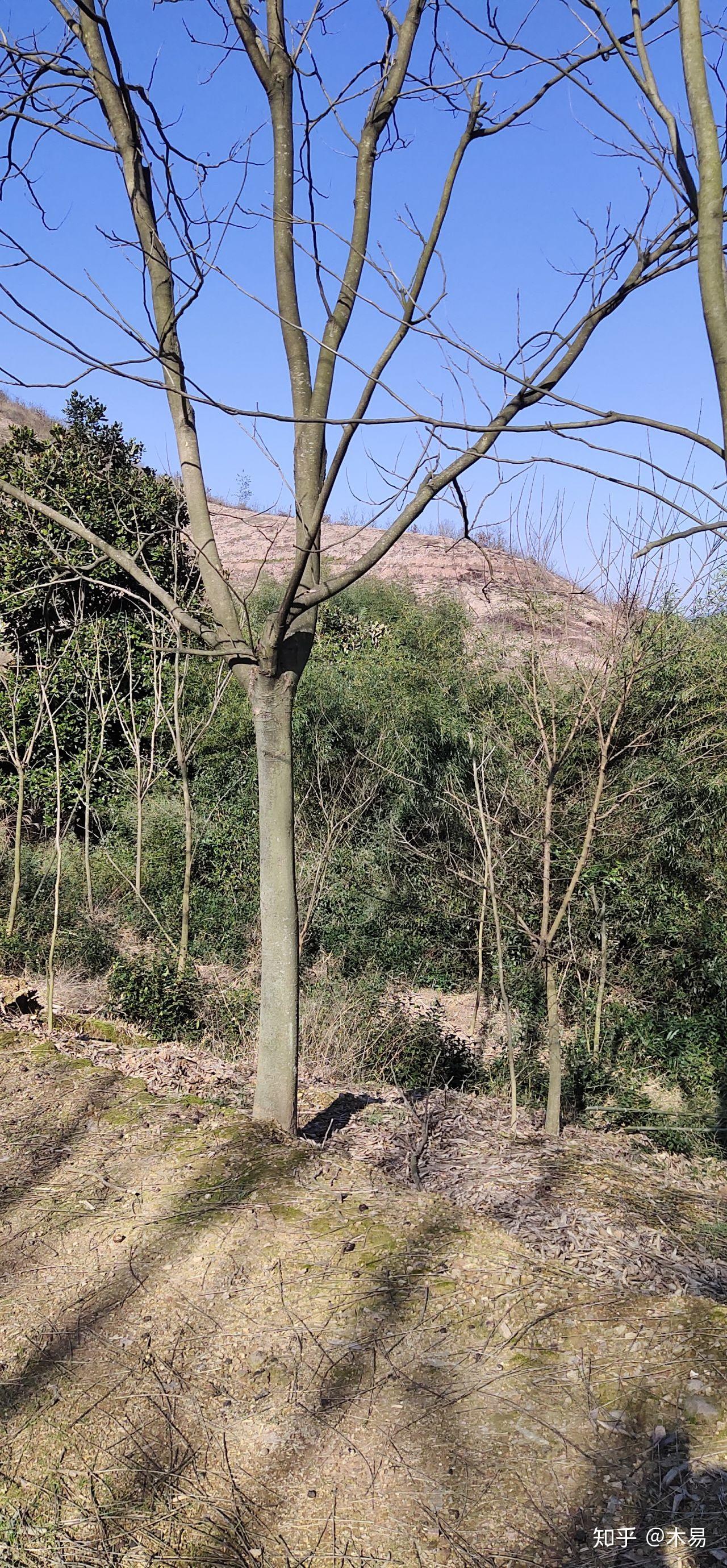 大学毕业后自主到偏远山区(大学生去偏远地区工作有什么好处)