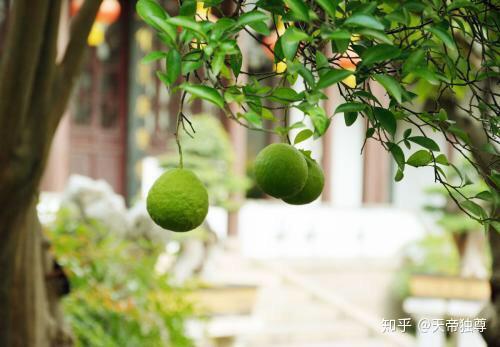 大学毕业后待在小镇里(大学毕业后待在小镇里好吗)