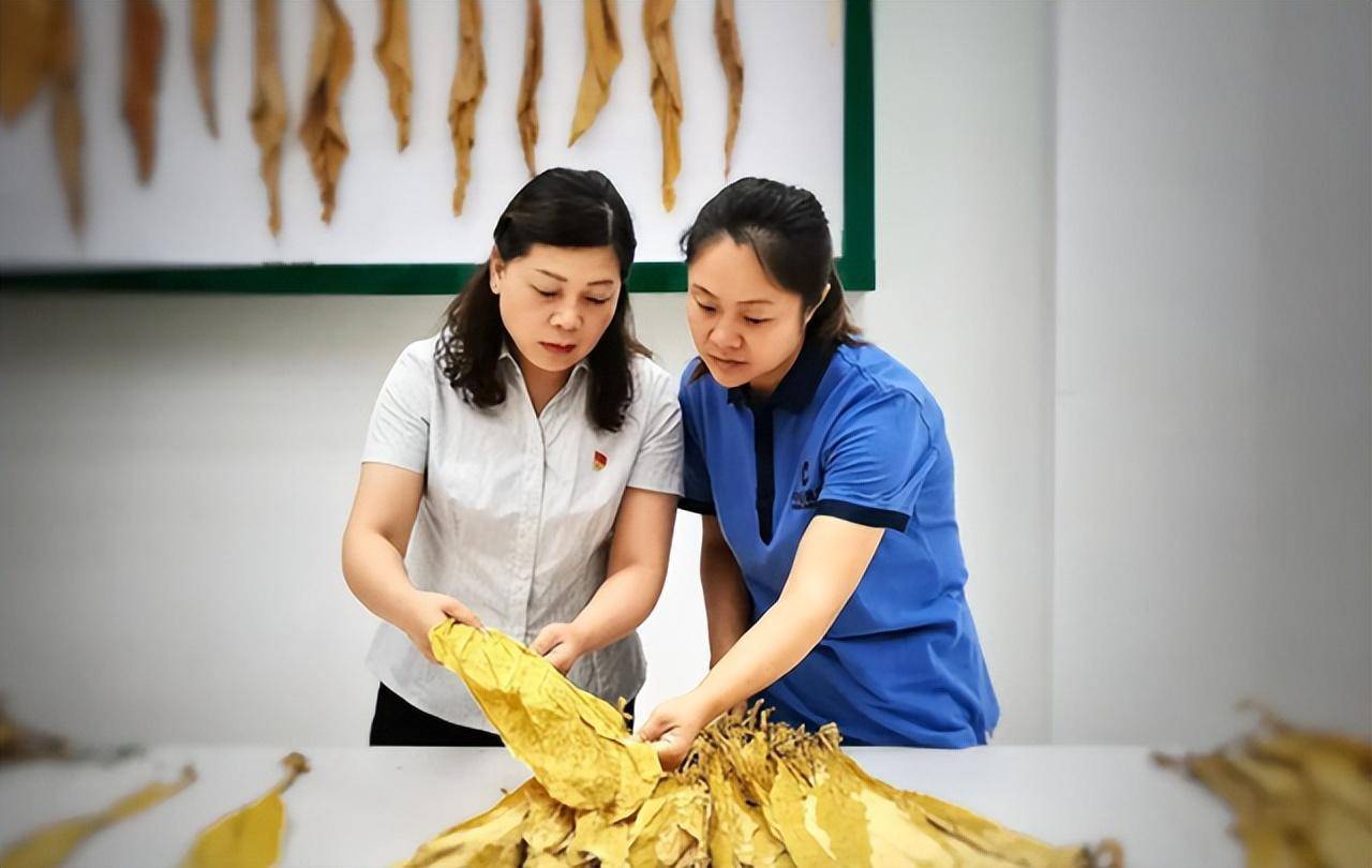 毕业后想入职做什么工作(毕业后想入职做什么工作好)