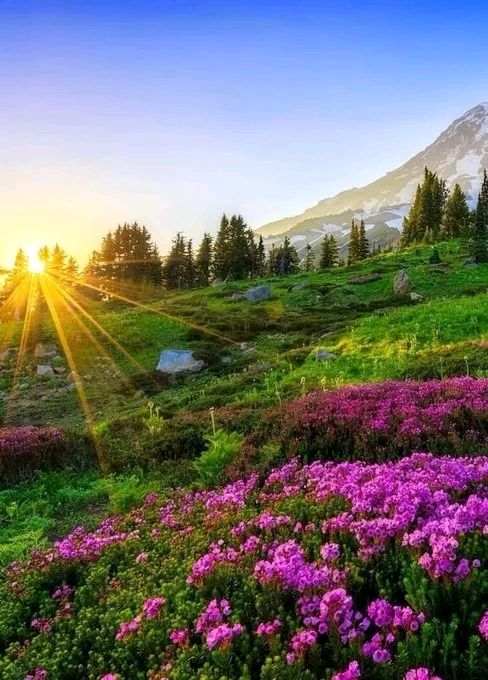 大学毕业考研后怎么办(大学毕业后考研然后考什么)