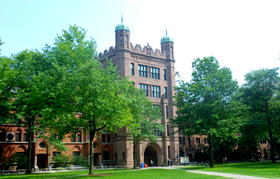 耶鲁大学毕业后视频下载(耶鲁大学毕业,却回国扎根农村)