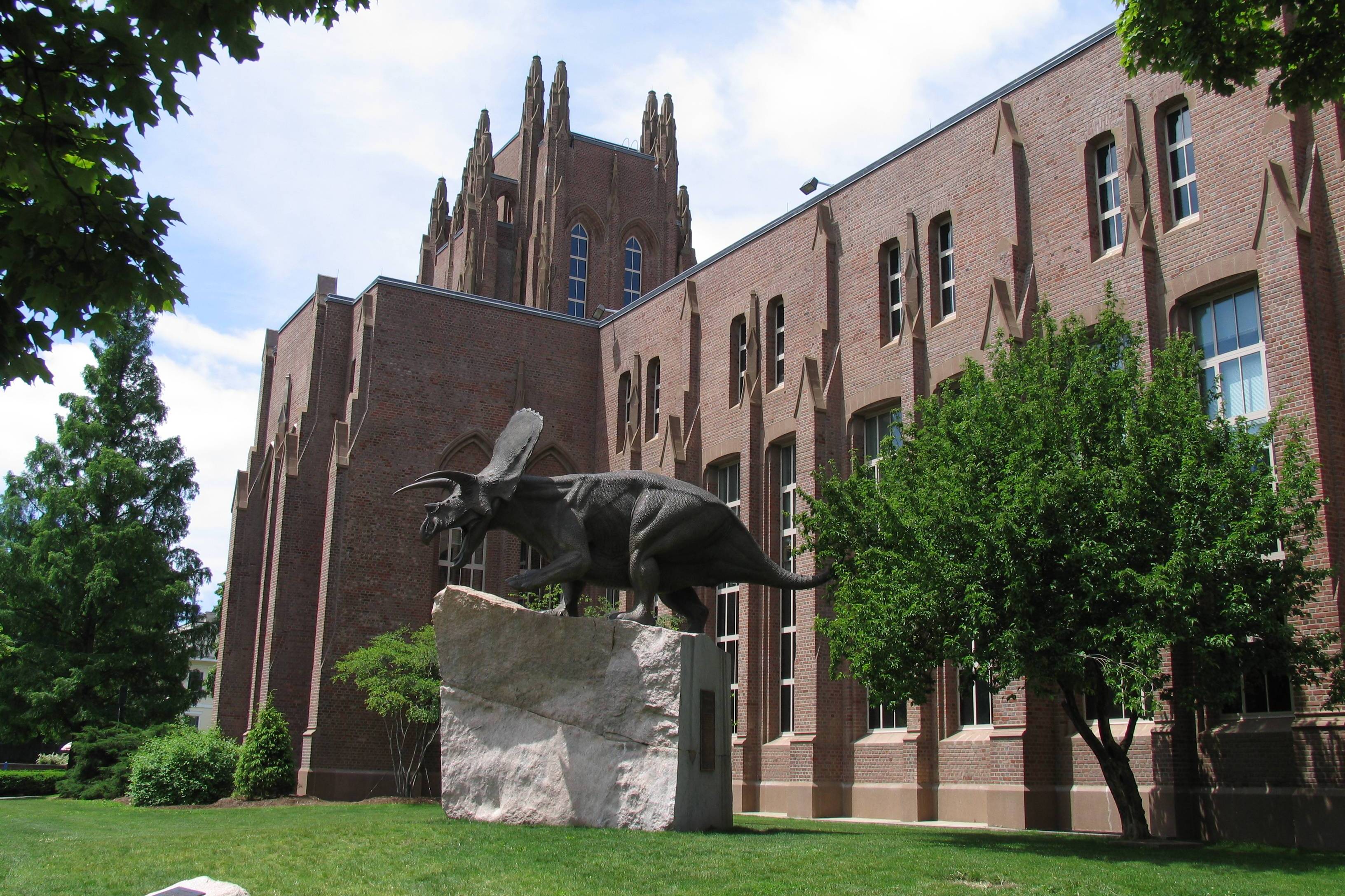 耶鲁大学毕业后视频下载(耶鲁大学毕业,却回国扎根农村)