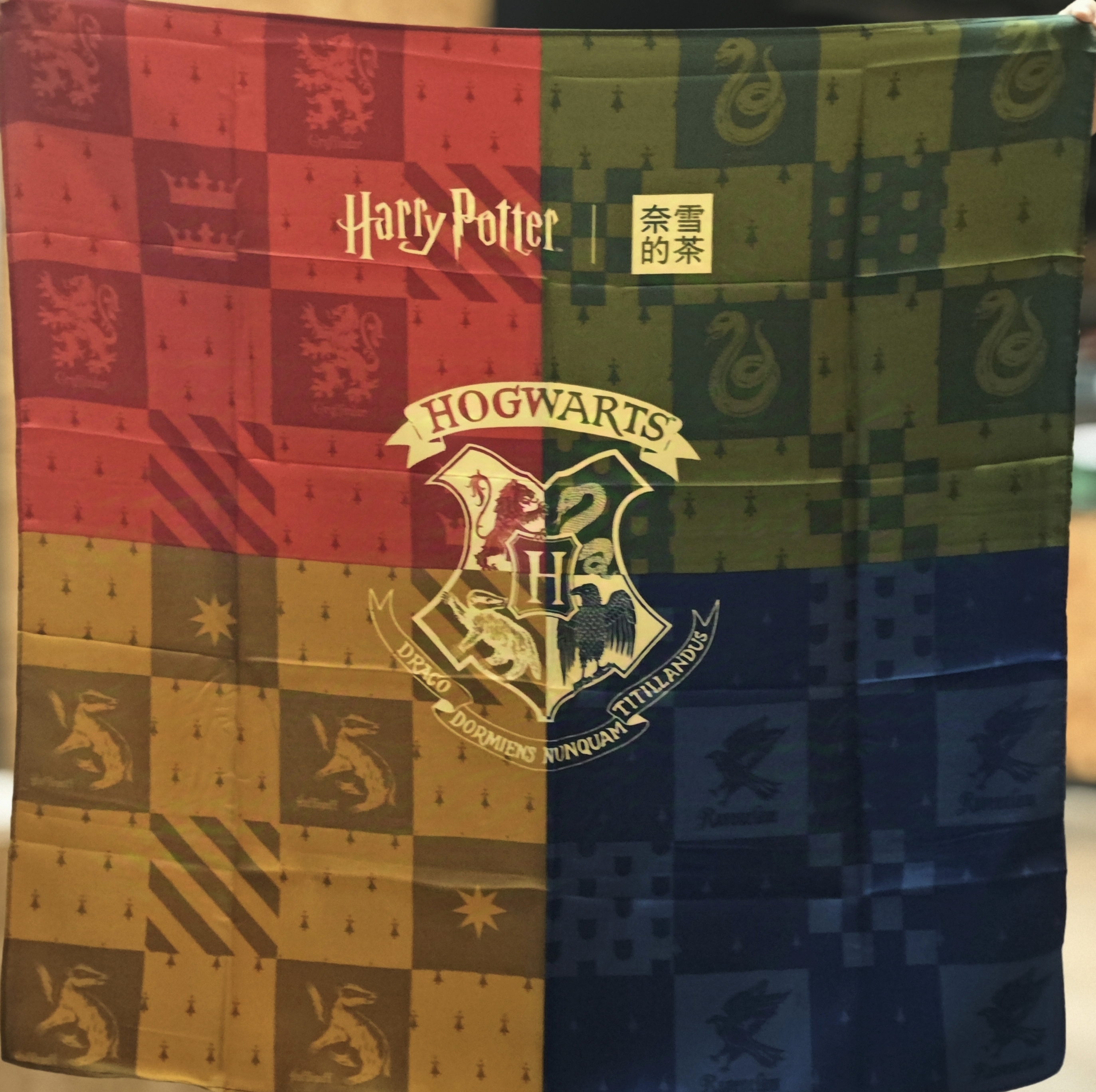 霍格沃茨学院毕业后干什么(霍格沃茨学院毕业后干什么工作)