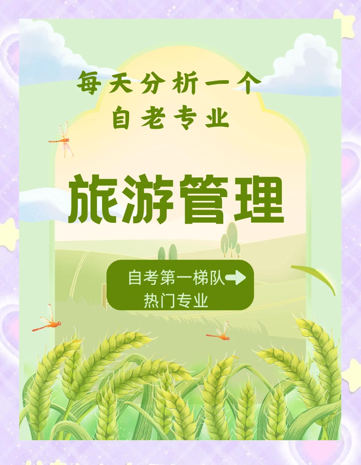 旅游管理毕业后做什么工作(旅游管理毕业后做什么薪资比较高)