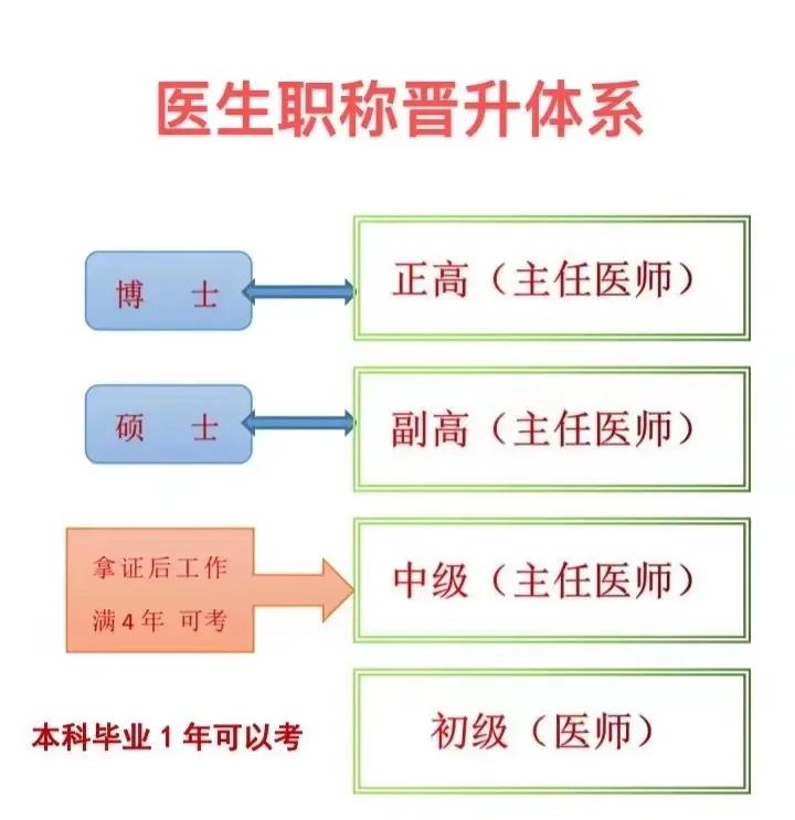 医生毕业后先干什么(医生毕业后先干什么工作)
