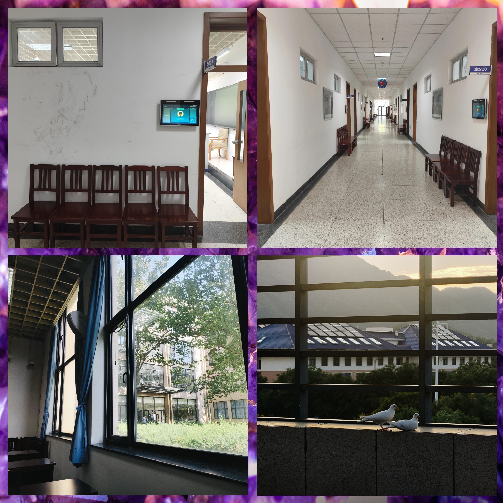 北京的警察学院毕业后能干嘛(北京警察学院毕业的学生去向是哪里) 北京的警察学院毕业后能干嘛(北京警察学院毕业的学生去向是哪里)