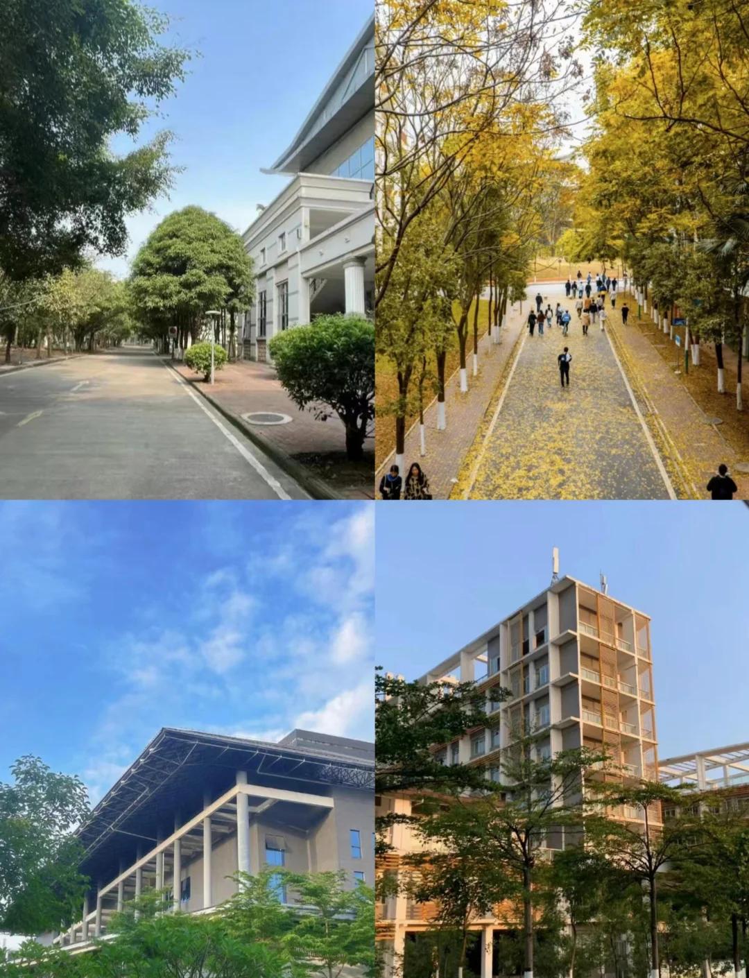 南宁职业技术学院毕业后(南宁职业技术学院毕业的名人有哪些)