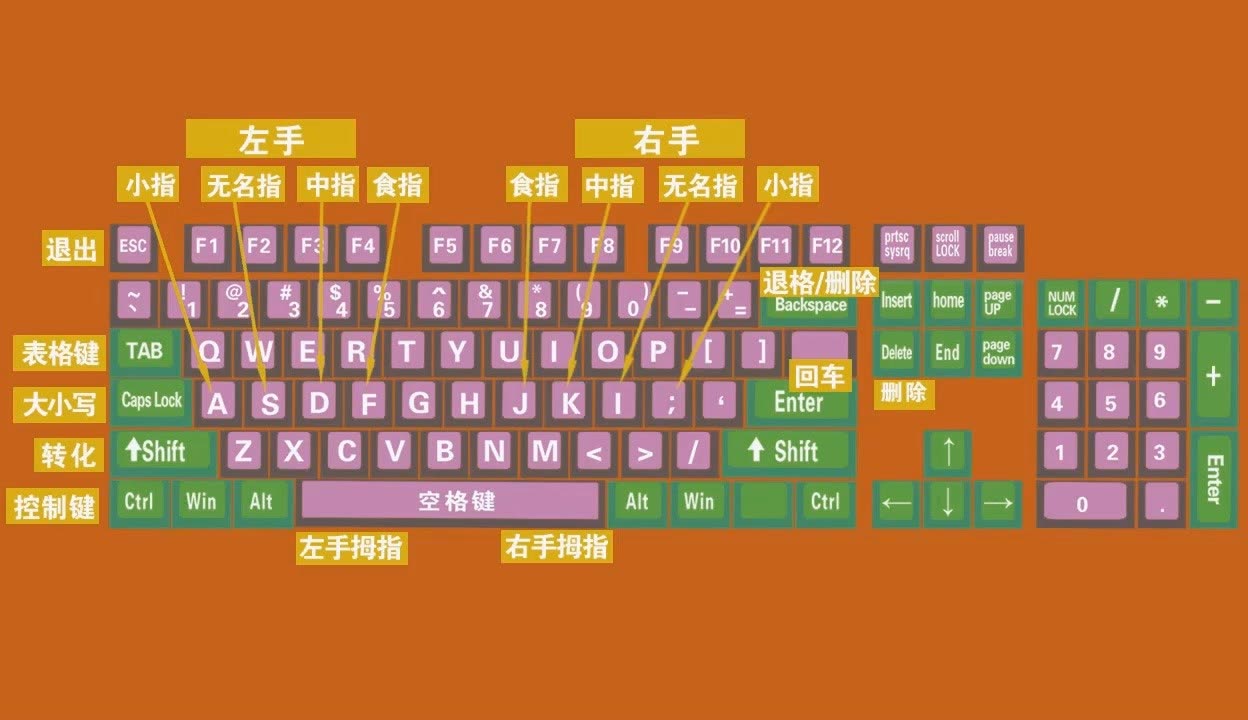 大学毕业后打字不顺(毕业后很多字都不会写了)