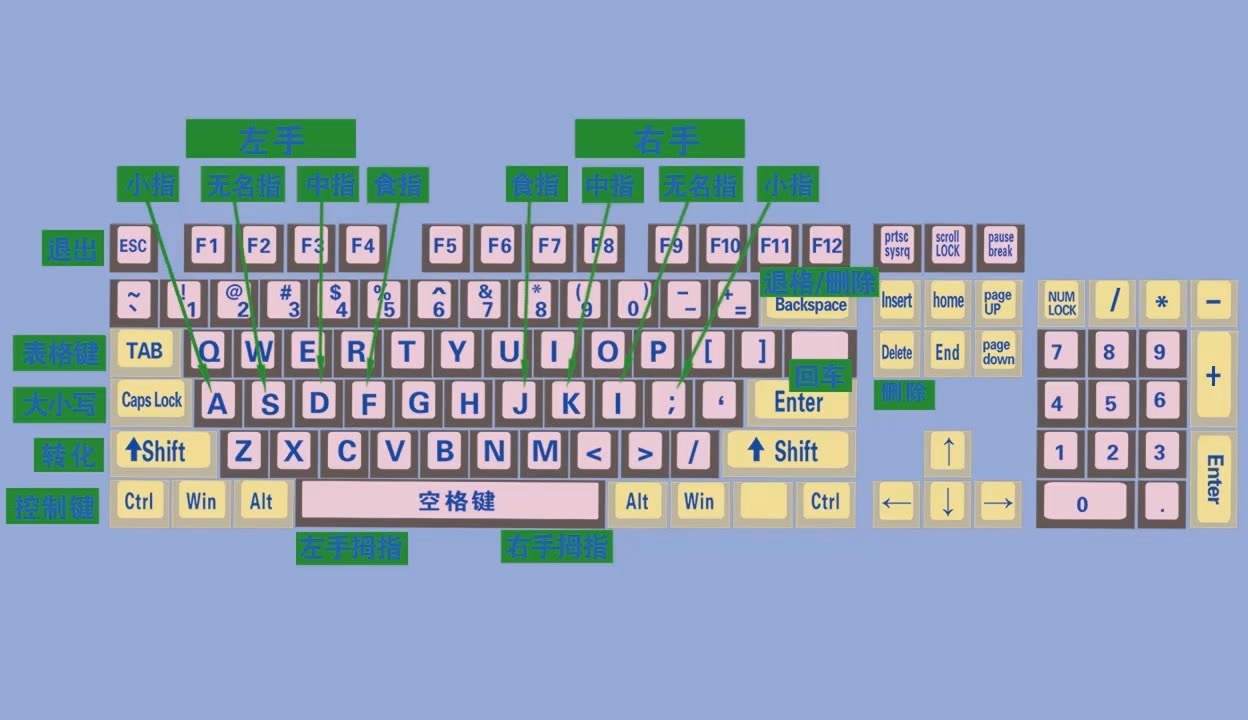 大学毕业后打字不顺(毕业后很多字都不会写了)