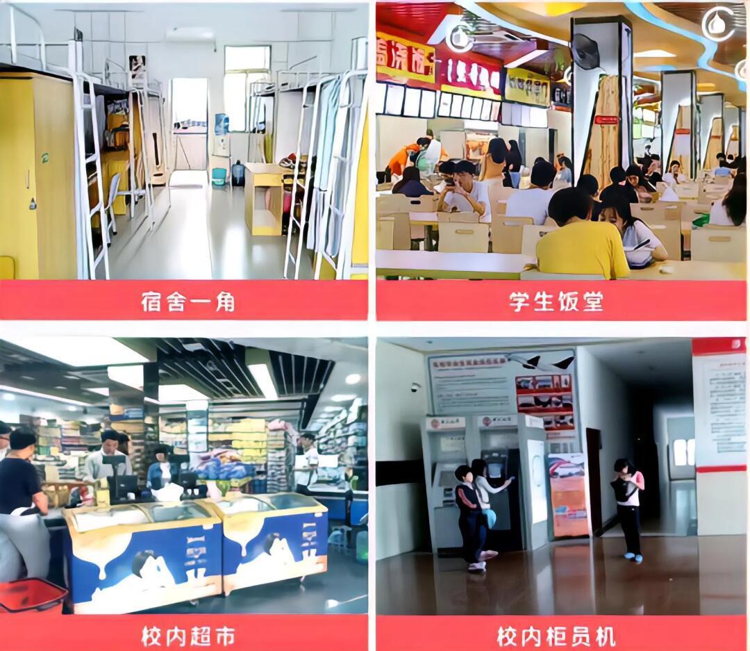 涉外经济学院毕业后找工作(涉外经济学院毕业后找工作好找吗) 涉外经济学院毕业后找工作(涉外经济学院毕业后找工作好找吗)