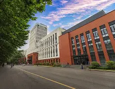 关于大学毕业后如何转自由职业的信息