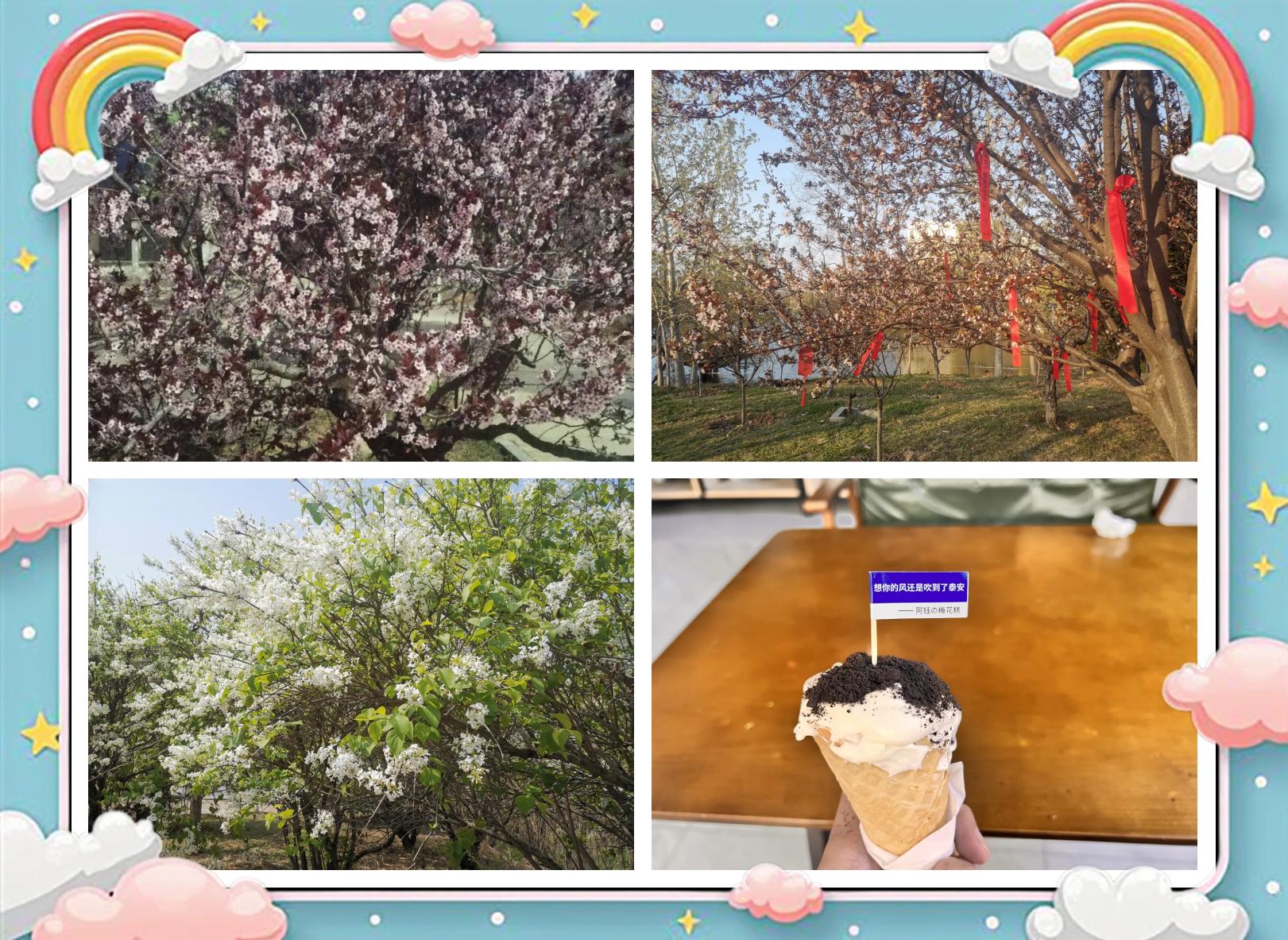 泰山学院毕业后干什么(泰山学院怎么样 就业前景排名)