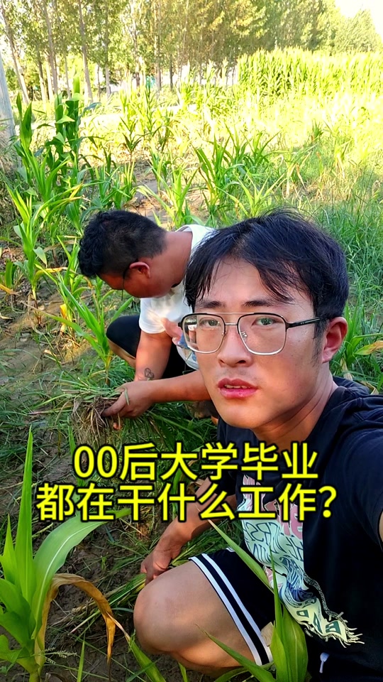 毕业后参加什么工作(毕业后有什么工作岗位) 毕业后参加什么工作(毕业后有什么工作岗位)