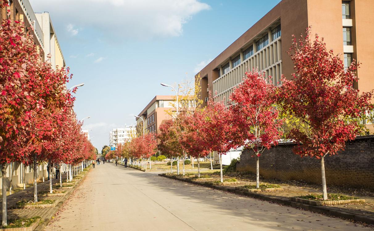 武汉文化学院毕业后的去向(武汉文化学院毕业后的去向怎么样)