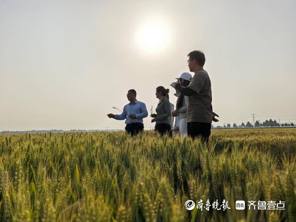 大学毕业后如何成为农民(大学毕业如何才能当村干部)