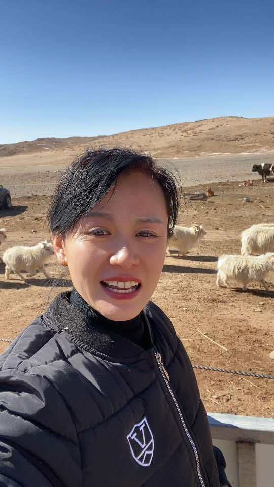 大学毕业后回来牧区放羊(大学生毕业后回当地的多吗) 大学毕业后回来牧区放羊(大学生毕业后回当地的多吗)