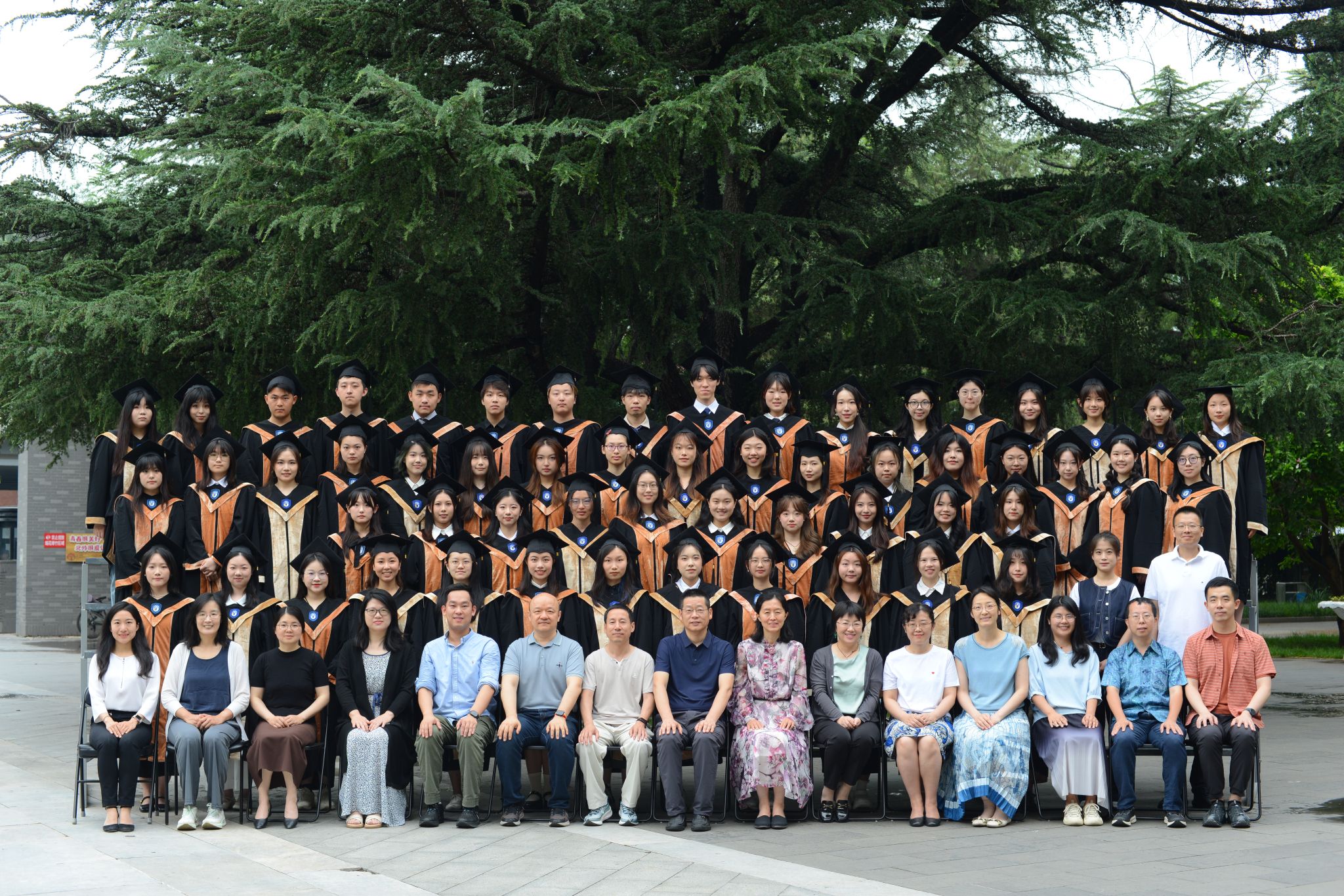 北京外语学院毕业后工作(北京外国语学院出来以后工作什么)