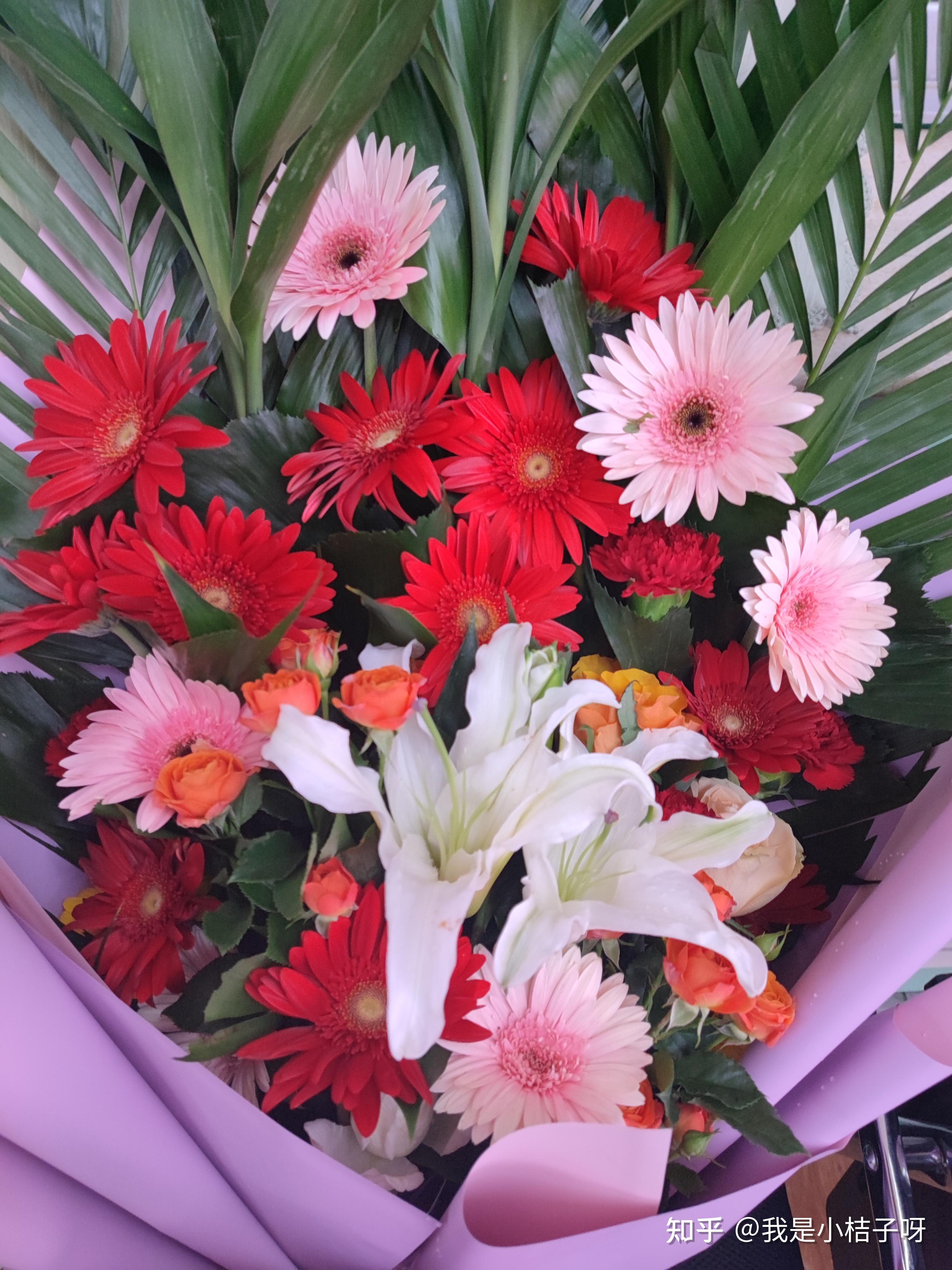 女生毕业后买什么手机(刚毕业女生适合的职业) 女生毕业后买什么手机(刚毕业女生适合的职业)