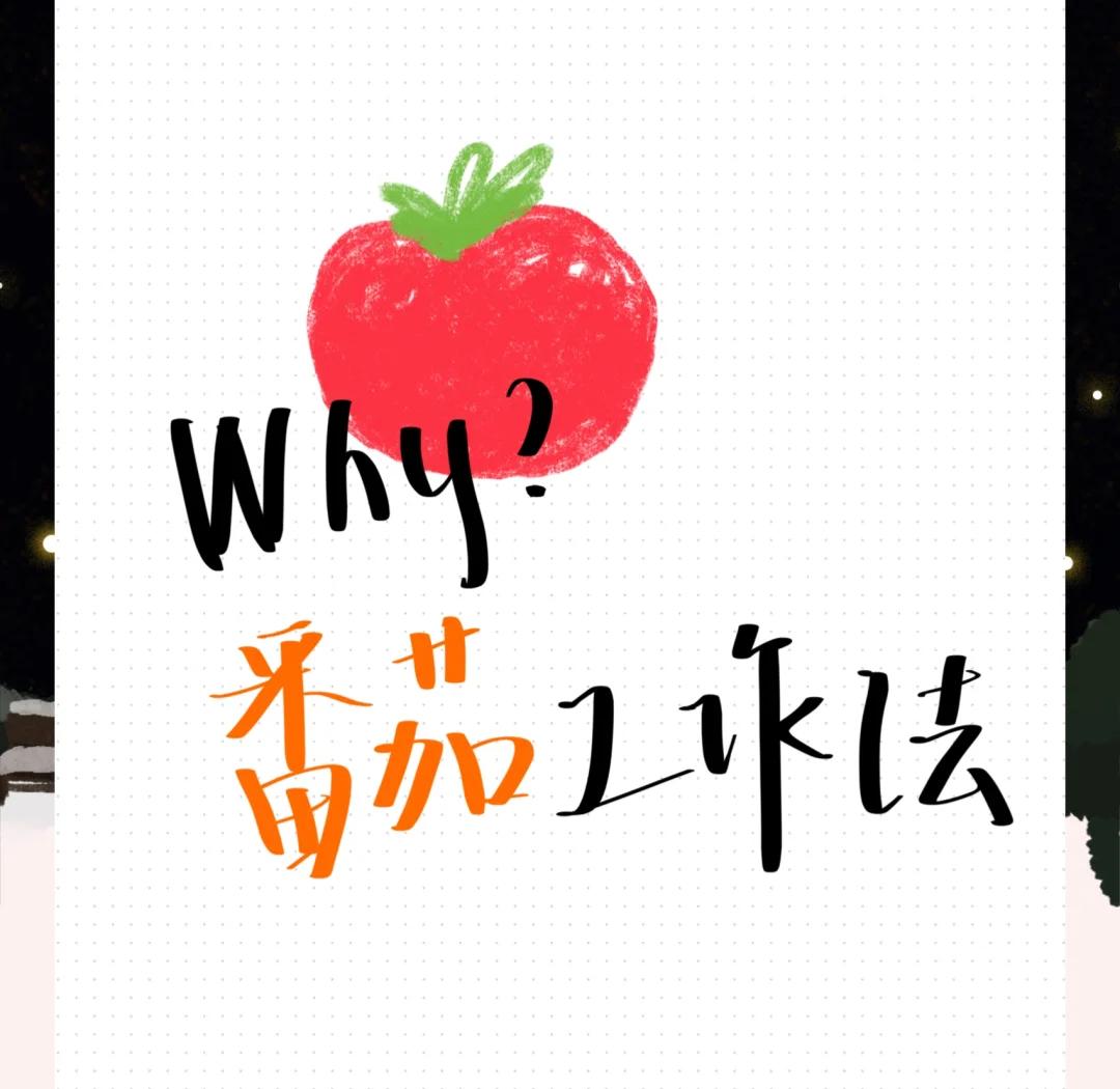 老番茄毕业后做什么工作(老番茄就业)