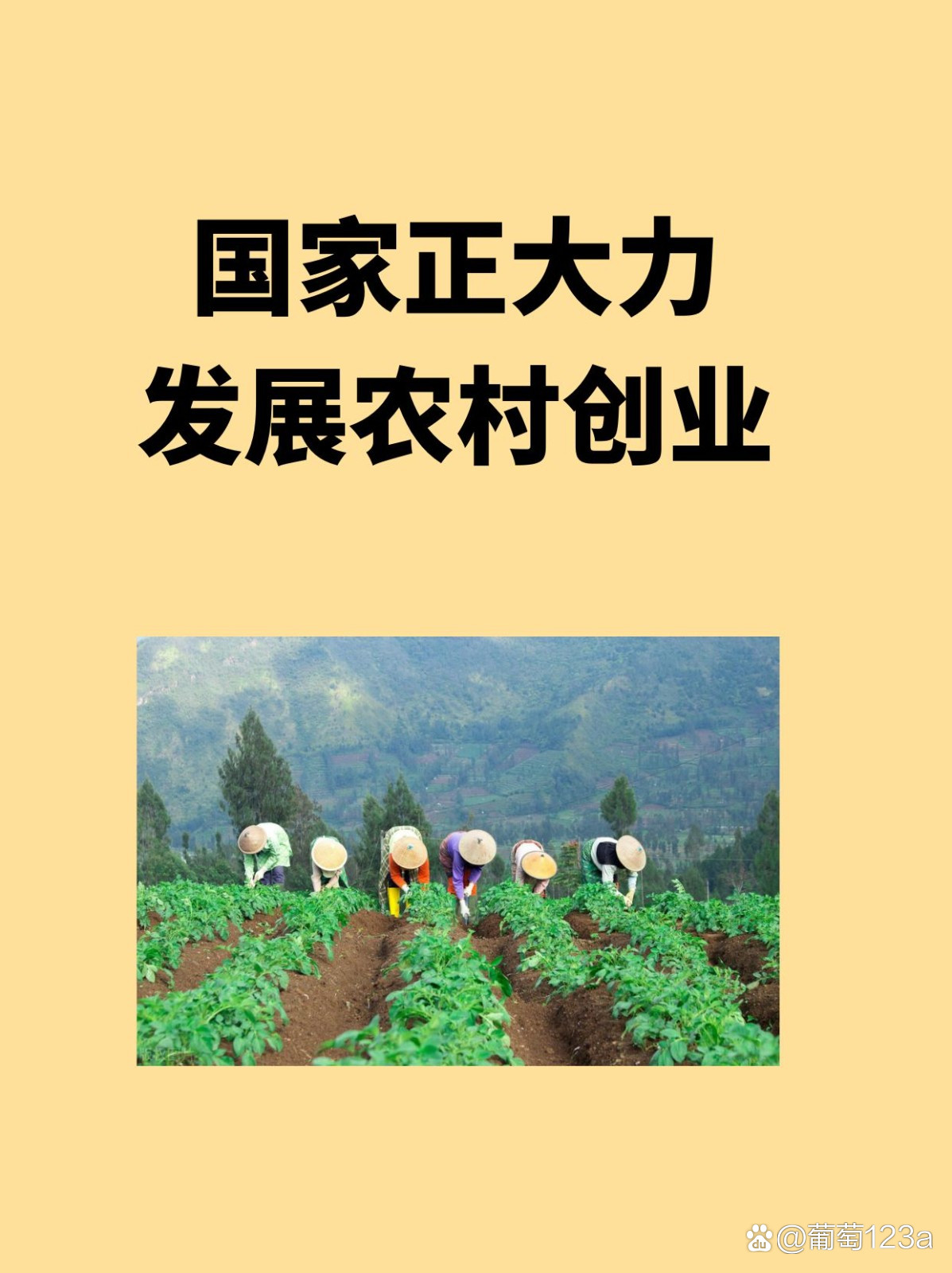 大学毕业后农村创业补贴(大学毕业后农村创业补贴还有吗) 大学毕业后农村创业补贴(大学毕业后农村创业补贴还有吗)