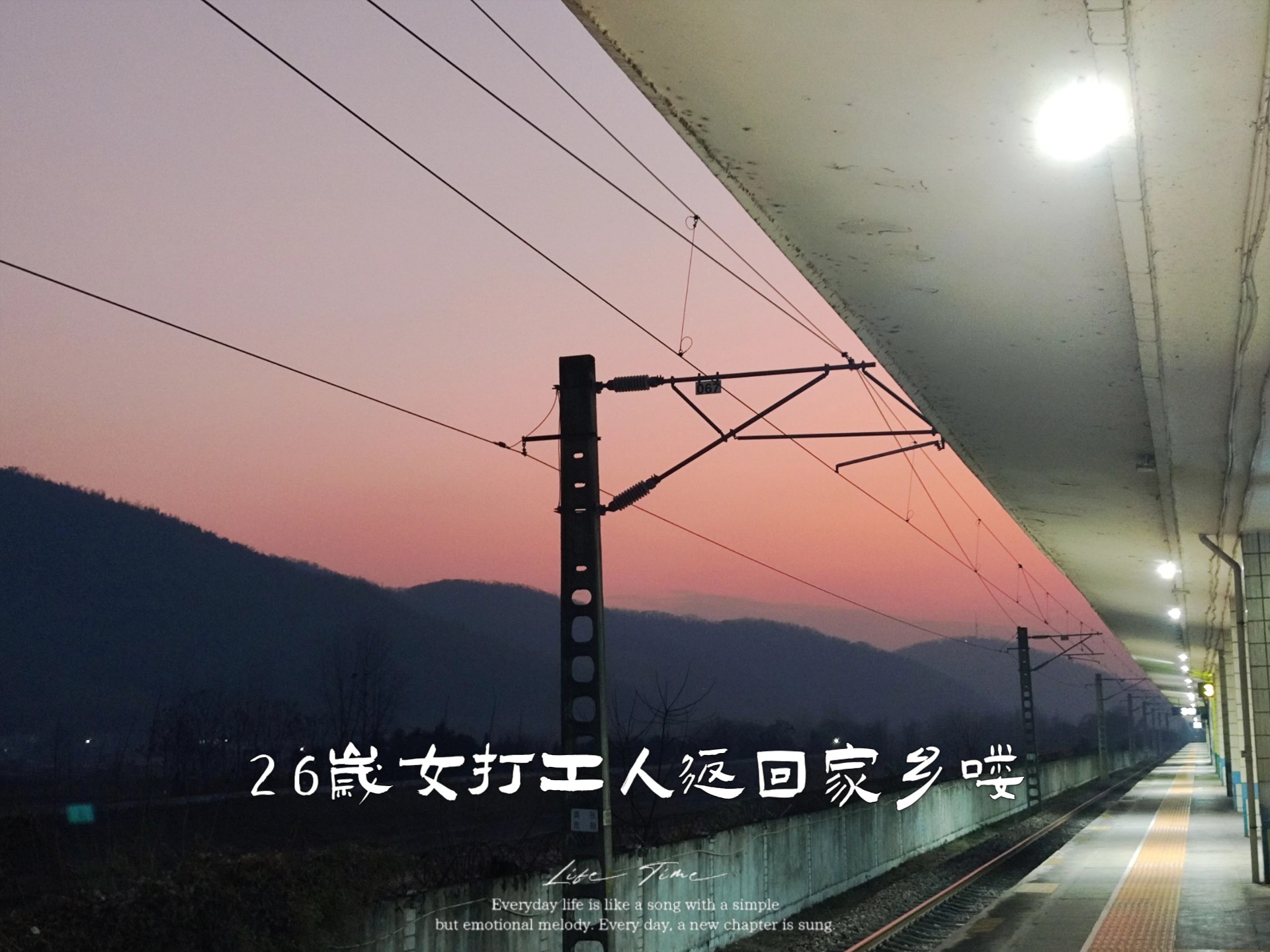 应届毕业后回老家做什么(应届毕业生回家找工作怎么做)