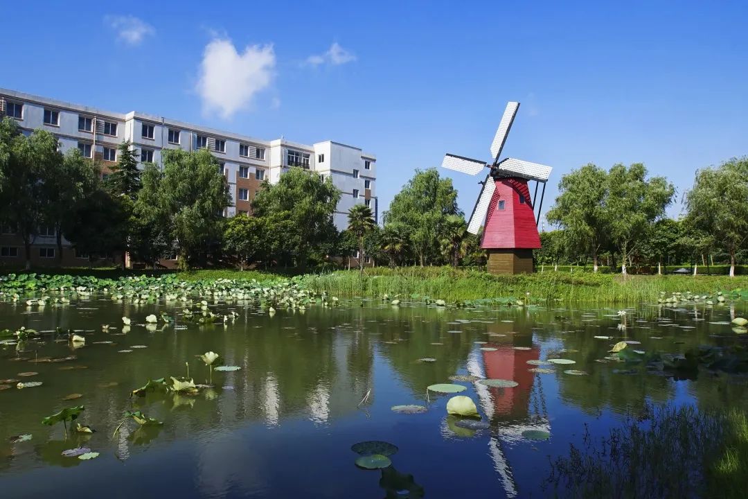 江苏食品药品学院毕业后(江苏食品药品技术学院多大)