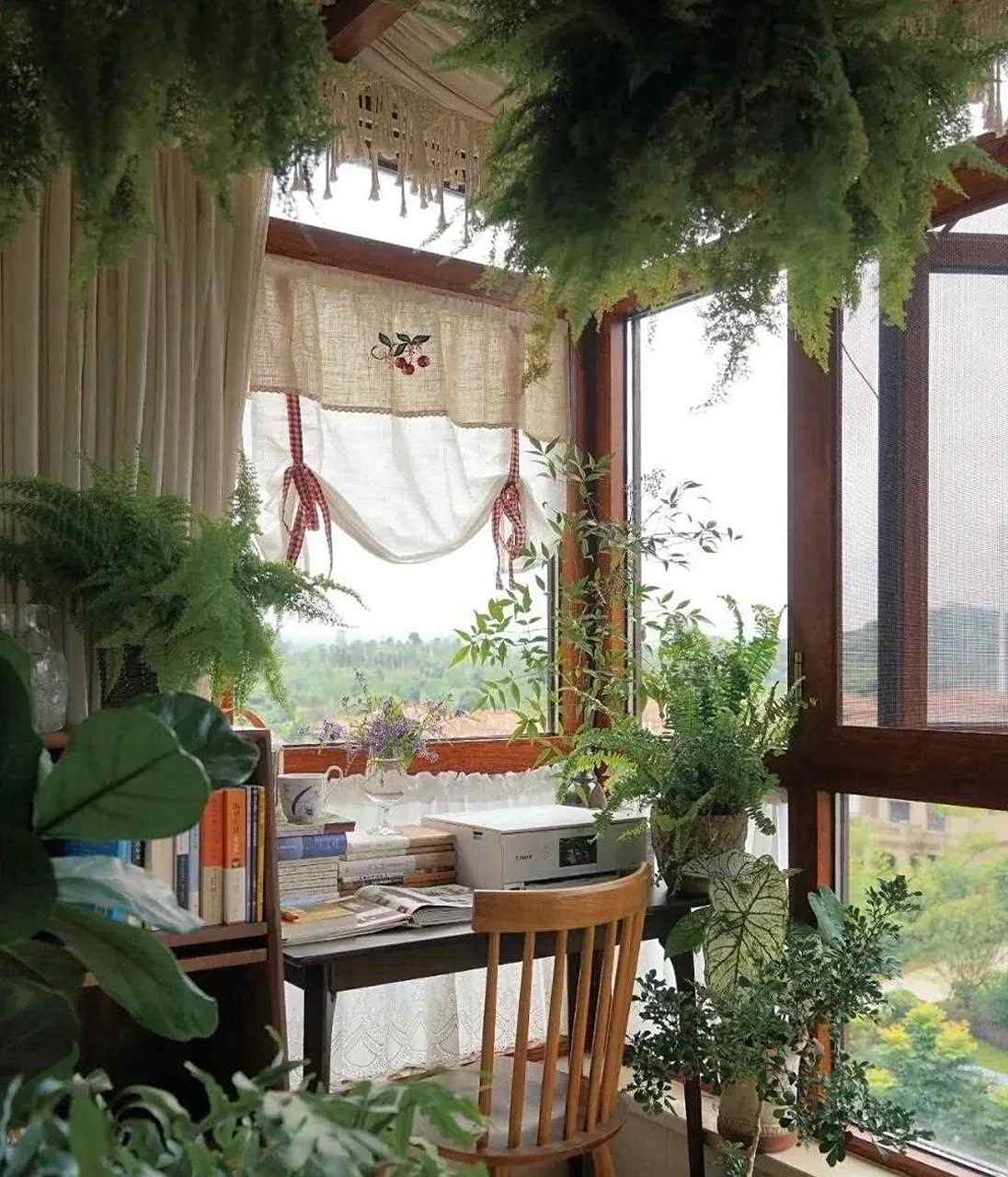 大学毕业后带绿植回家养(刚毕业适合养狗吗)