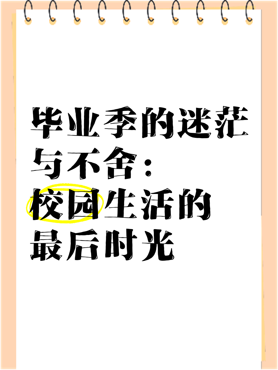 毕业后回学校什么都变了(毕业后再回学校)