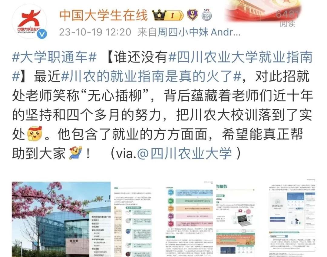 如何在大学毕业后就业(大学毕业生如何) 如何在大学毕业后就业(大学毕业生如何)