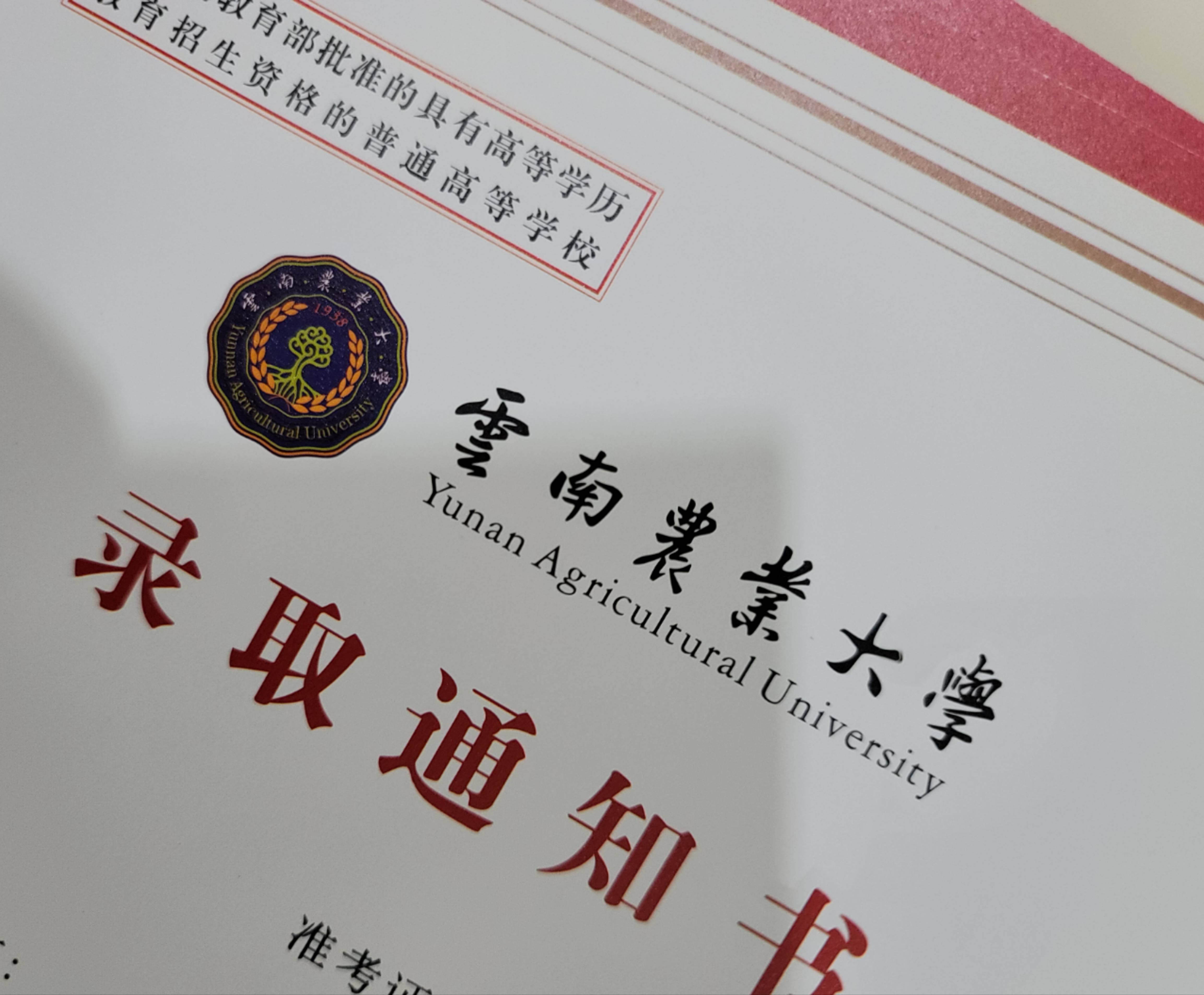 大学毕业后专升本(大学毕业后专升本还能继续考吗)