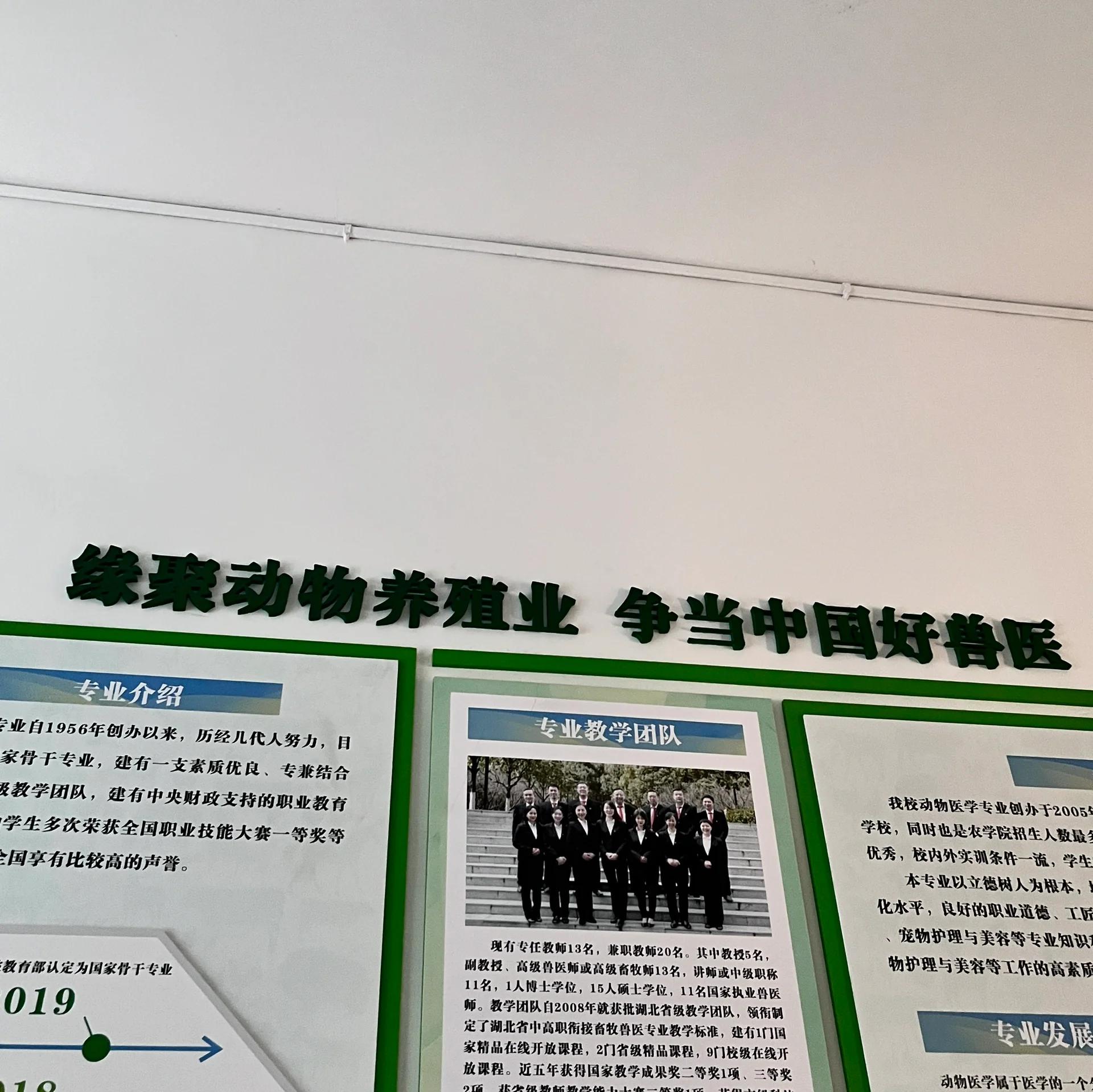 动物专业毕业后做什么(动物类专业出来好找工作吗)