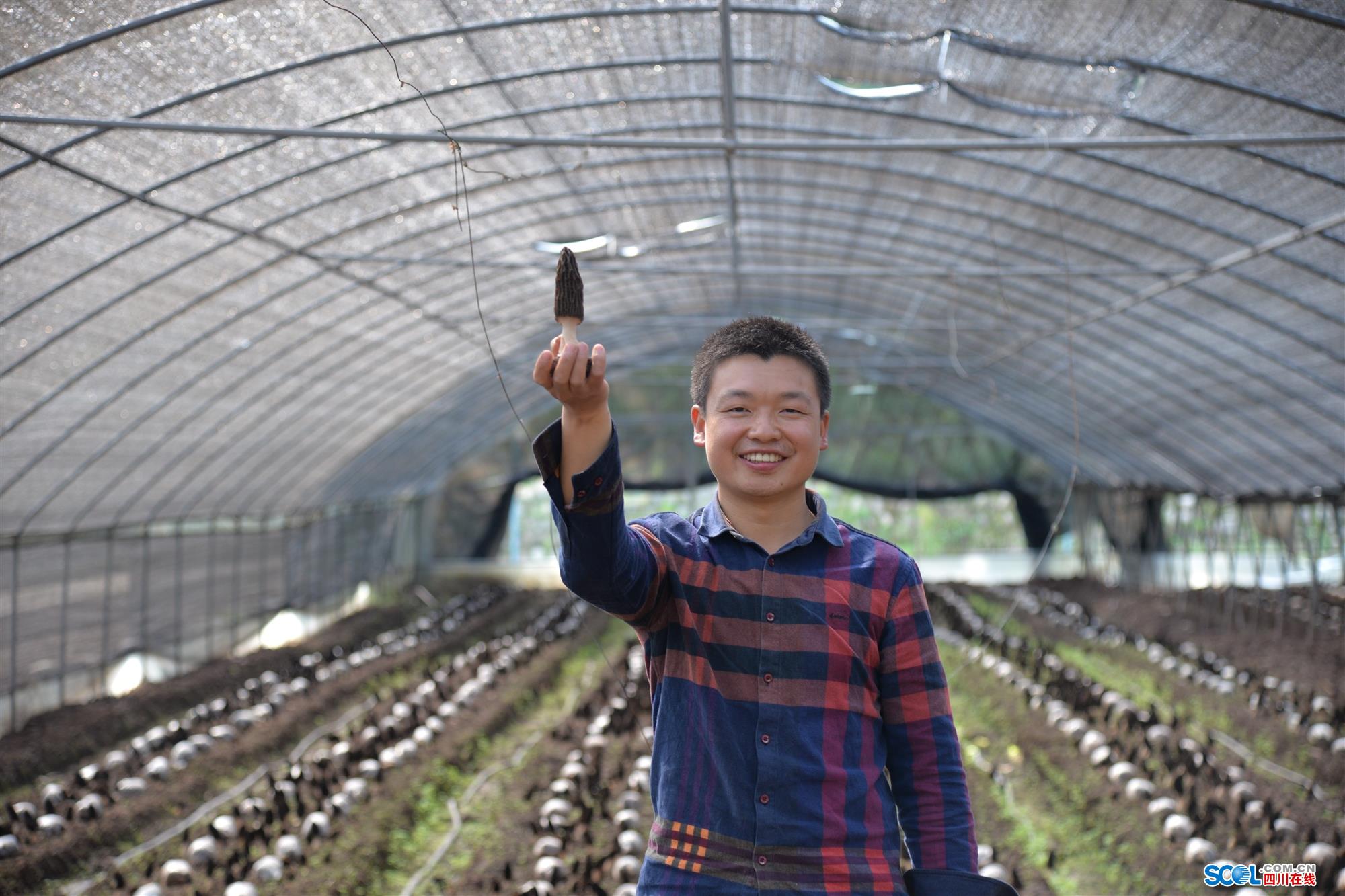 80后大学毕业致富(80后大学毕业是哪一年)