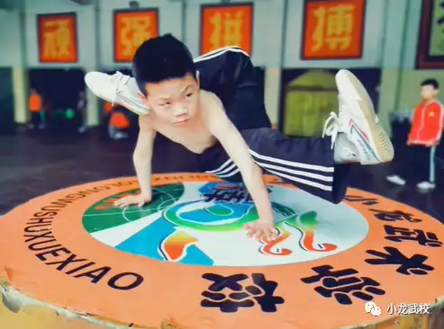 武校毕业后做什么(武校毕业的学生都去哪了)