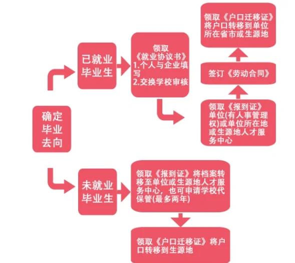 大学毕业后档案应放哪(大学毕业后档案放哪里有利于考公) 大学毕业后档案应放哪(大学毕业后档案放哪里有利于考公)