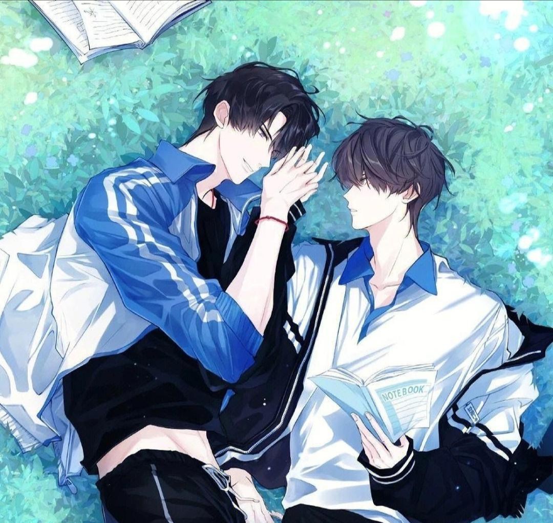 贺朝毕业后是什么职业(贺朝是做什么的)