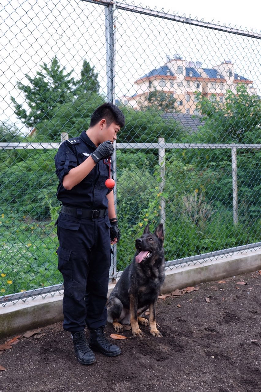 合肥公安学院毕业后是公务员吗(合肥公安学院毕业后是公务员吗工资多少)