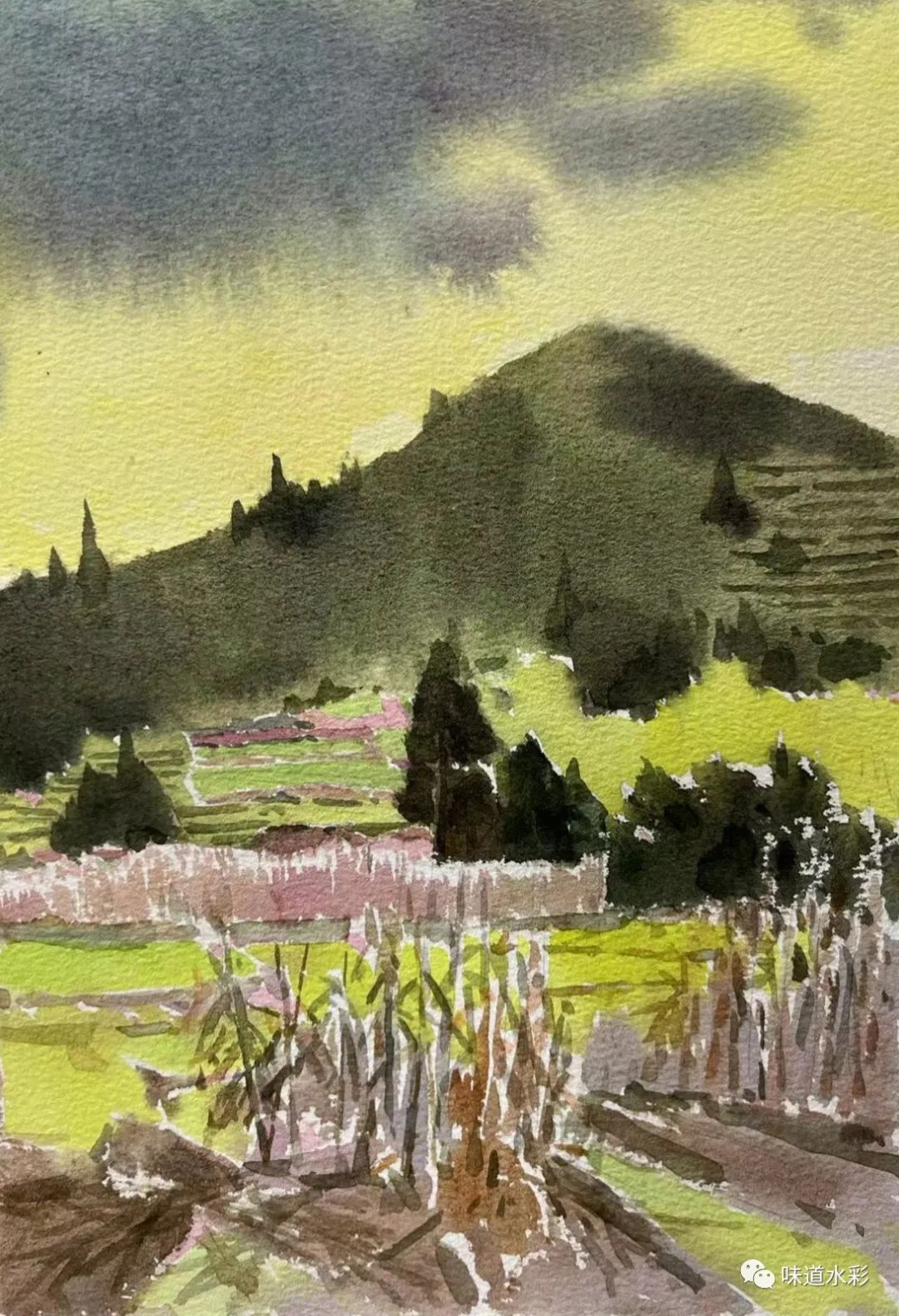 大学毕业后回到故乡延平(毕业后回家乡的人怎么样了)