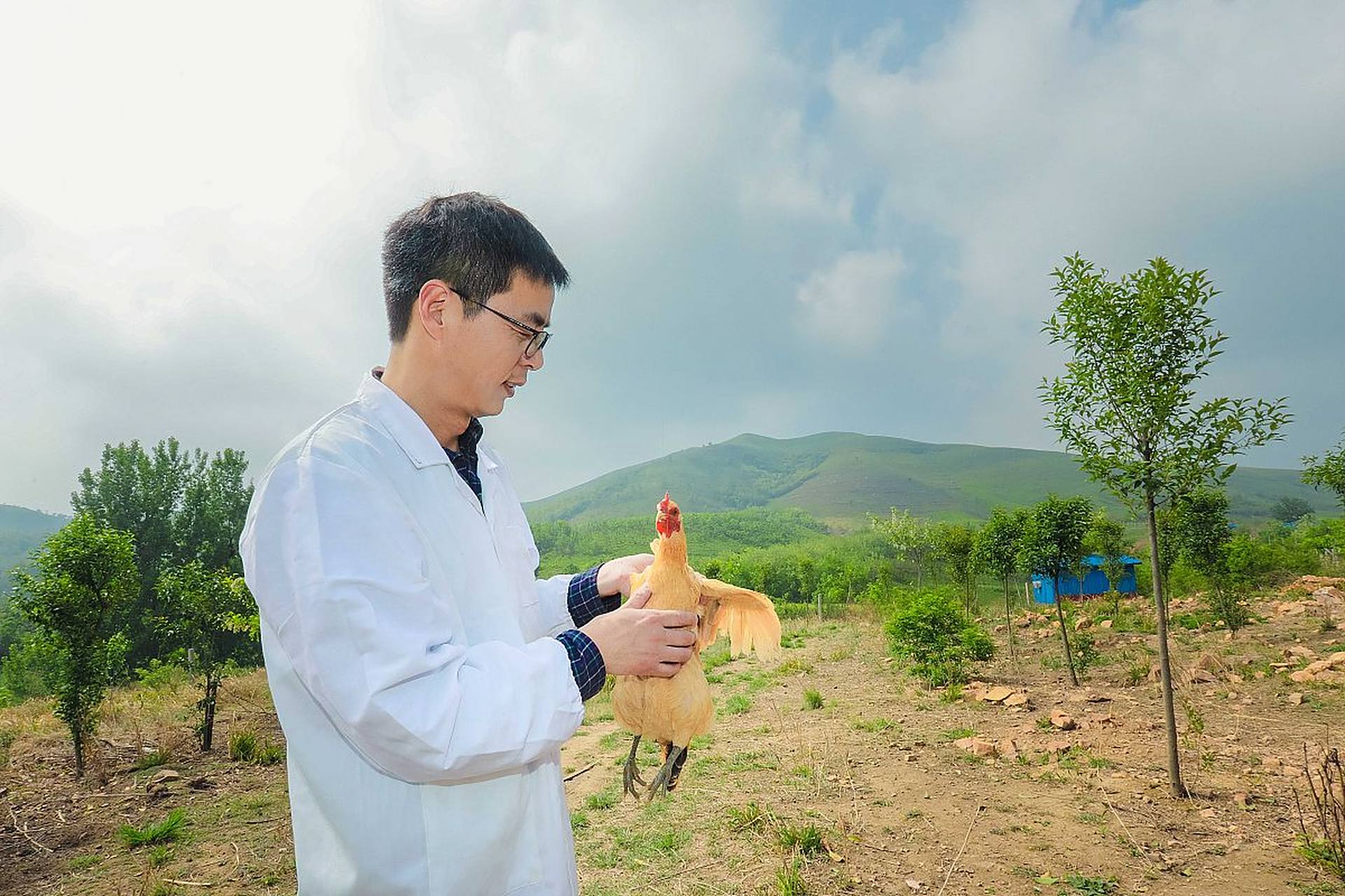 清华大学毕业后回农村现状(清华大学毕业之后)