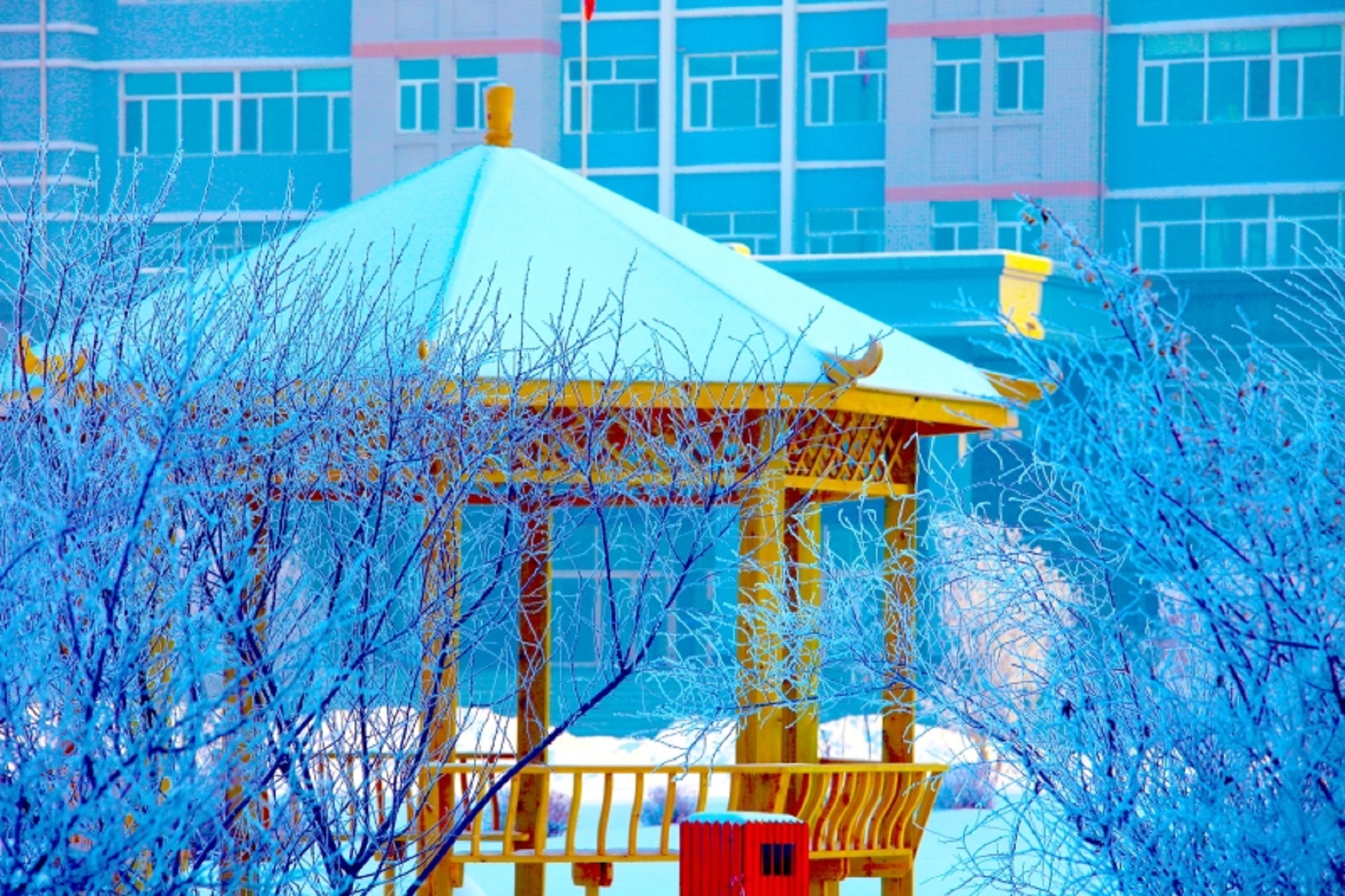 哈尔滨华德学院毕业后(哈尔滨华德学院毕业后工资多少)