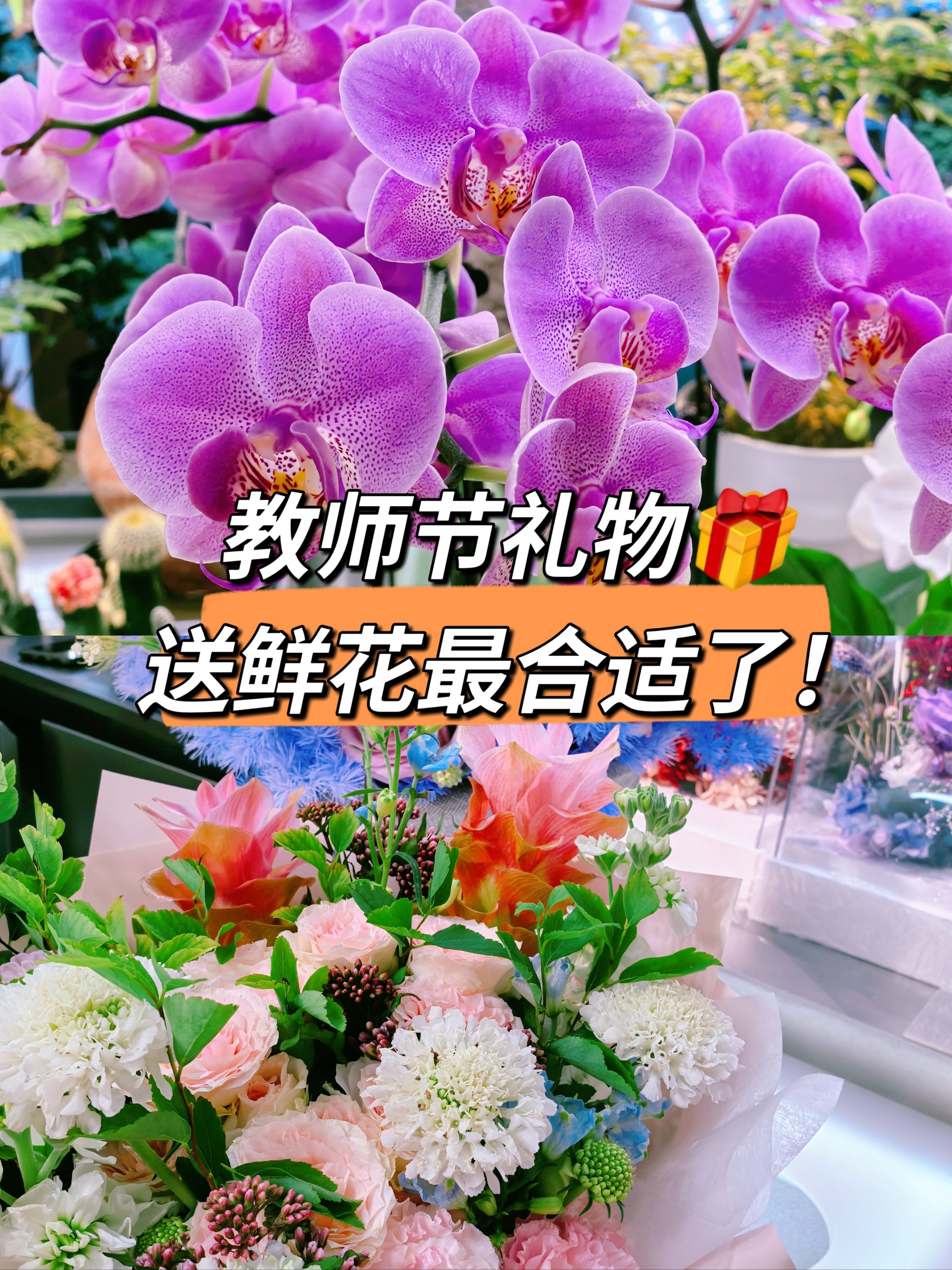 毕业后见老师送什么花(毕业后去看老师送什么花) 毕业后见老师送什么花(毕业后去看老师送什么花)