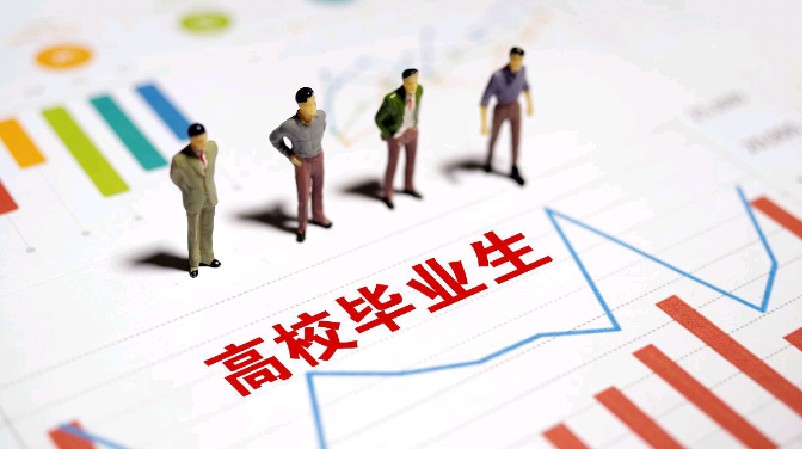 大学毕业后找工作的公司(大学毕业后去公司工作的好处)